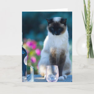 Wine cat card
