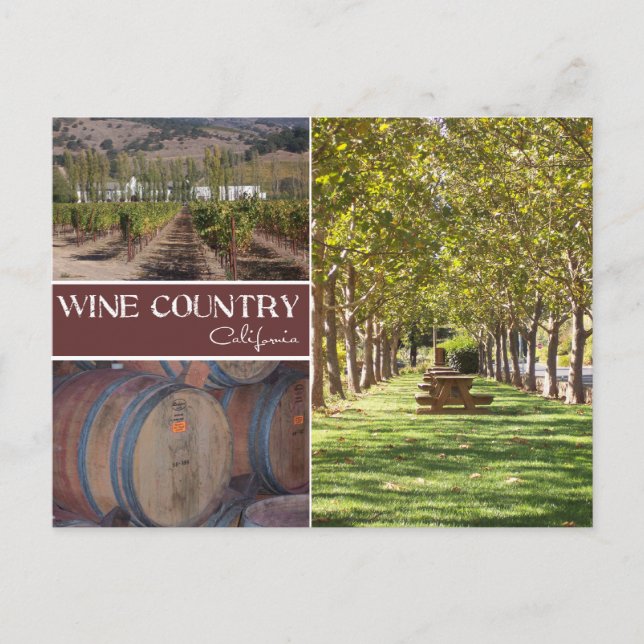 Wine Country, California Postcard (Front)