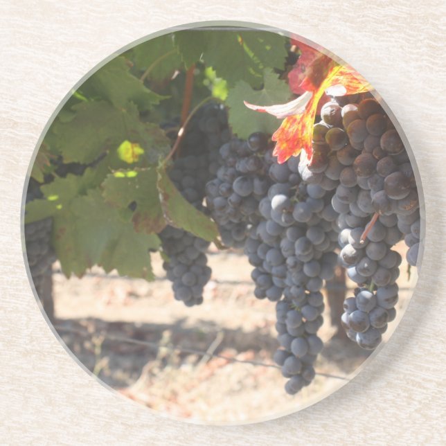 Wine Country Grapes Coaster (Front)
