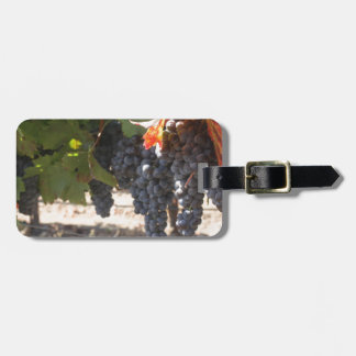 Wine Country Grapes Luggage Tag