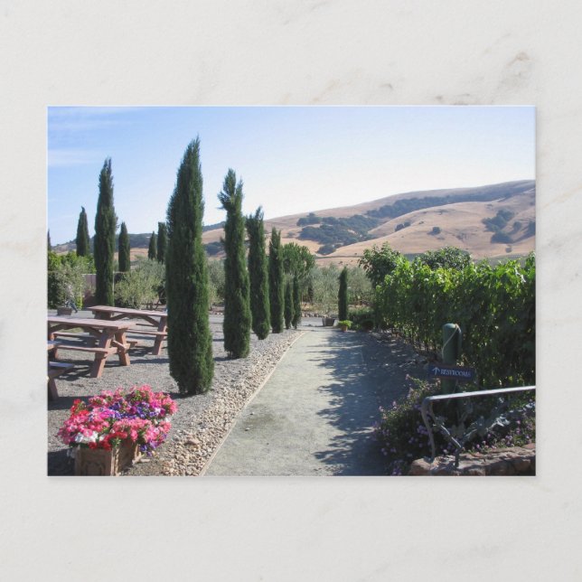 Wine Country Postcard (Front)