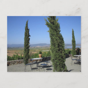 Wine Country Postcard