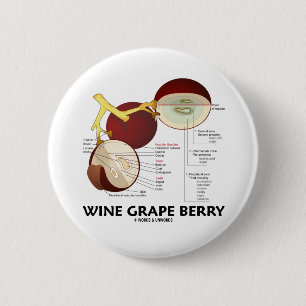 Wine Grape Berry (Anatomy) 6 Cm Round Badge