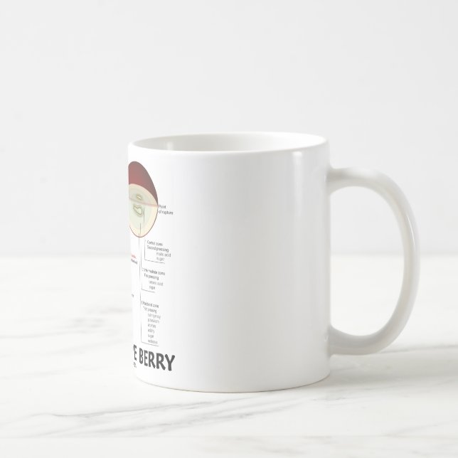 Wine Grape Berry (Anatomy) Coffee Mug (Right)