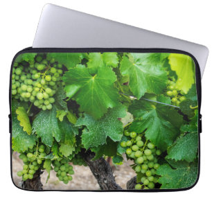 Wine Grapes Growing, France Laptop Sleeve
