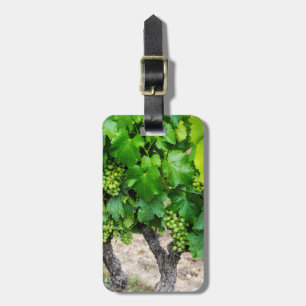 Wine Grapes Growing, France Luggage Tag
