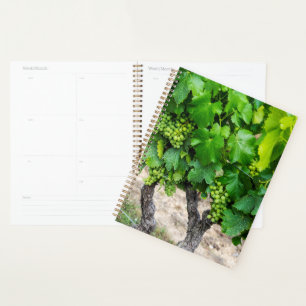 Wine Grapes Growing, France Planner