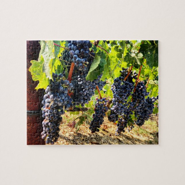 Wine Grapes Jigsaw Puzzle (Horizontal)