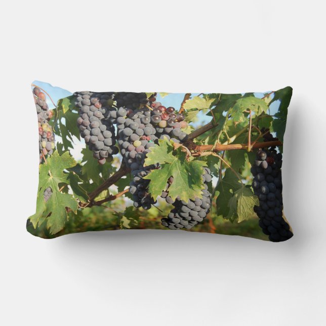 Wine Grapes On Vine Lumbar Cushion (Front)