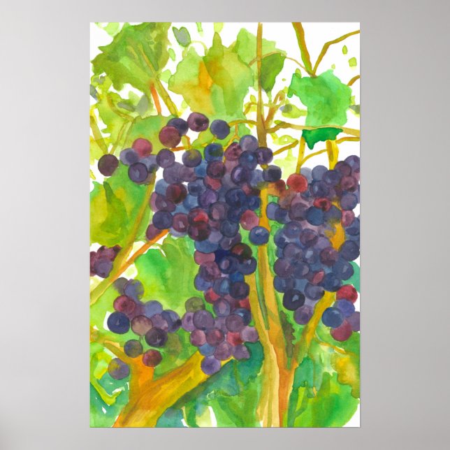 Wine Grapes Watercolor Painting Poster (Front)