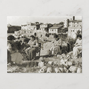 Wine making Chianti bottle covers Postcard