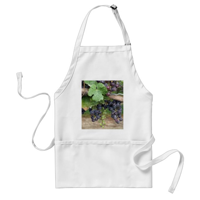 Wine on the Vine Standard Apron (Front)