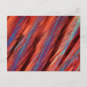 Wine under the microscope - Pinotage Postcard