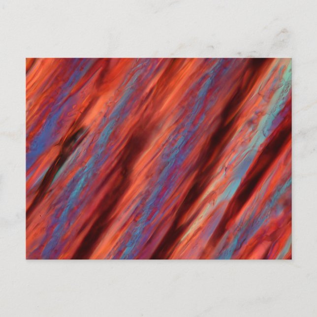 Wine under the microscope - Pinotage Postcard (Front)