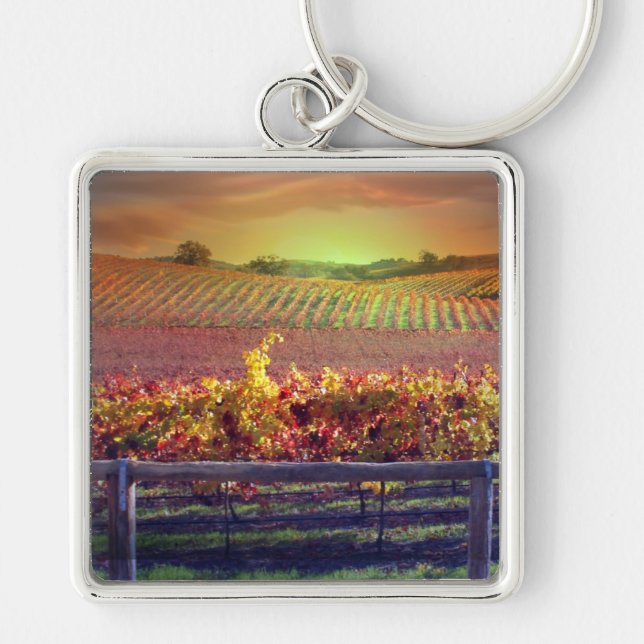 Wine Vineyard Key Ring (Front)