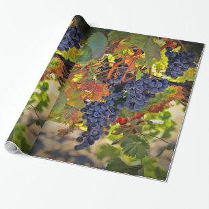 Wine Vineyard Wrapping Paper