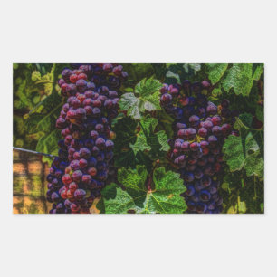 Winery Grapevine sunny tuscany vineyard grapes Rectangular Sticker