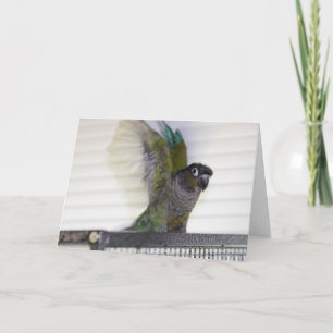 Wing Ding Card