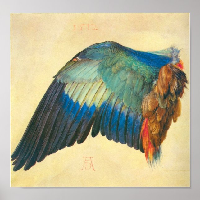 Wing of a Blaurake by Albrecht Durer Poster (Front)