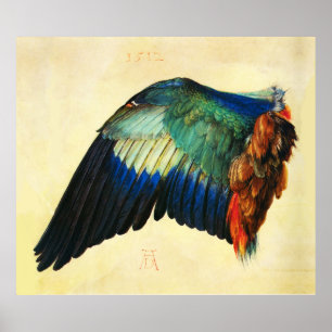 WING OF AN EUROPEAN ROLLER Durer Poster