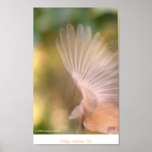 Wing Poster