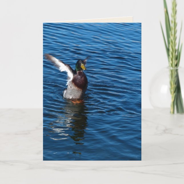 Winged Duck, Blank Greeting Card (Front)