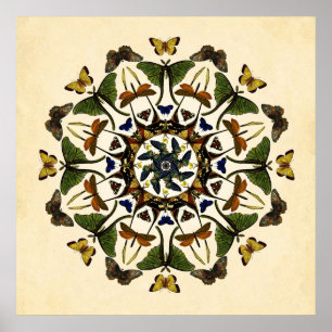Winged Earth Butterfly Kaleidoscope Art  Poster