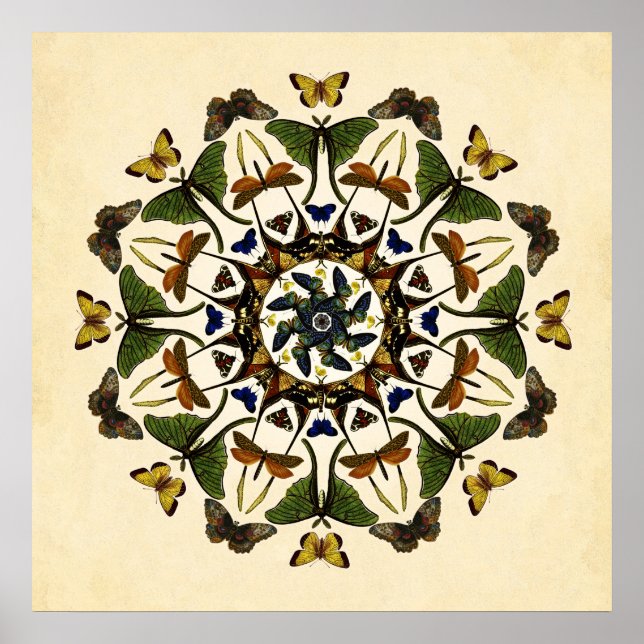 Winged Earth Butterfly Kaleidoscope Art  Poster (Front)