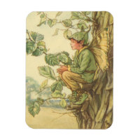 Winged Elm Fairy Sitting in a Tree