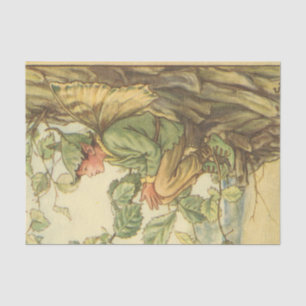 Winged Elm Fairy Sitting in a Tree Tissue Paper
