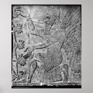 Winged Genie Worshipping the Sacred Tree Poster