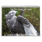 Winged Spirts 2013 24 month calender