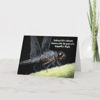 “Winged Wisdom - The Dragonfly’s Tale”