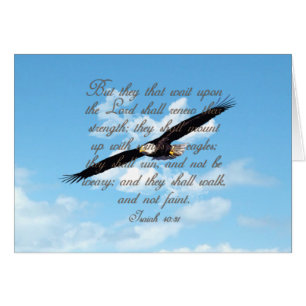 Wings as Eagles, Isaiah 40:31 Christian Bible