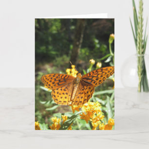 Wings of Curiosity (3) Greeting Card