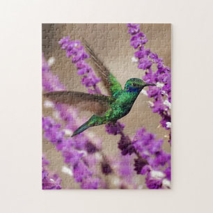 Wings of Faith Sparkling Violet-ears Hummingbird Jigsaw Puzzle