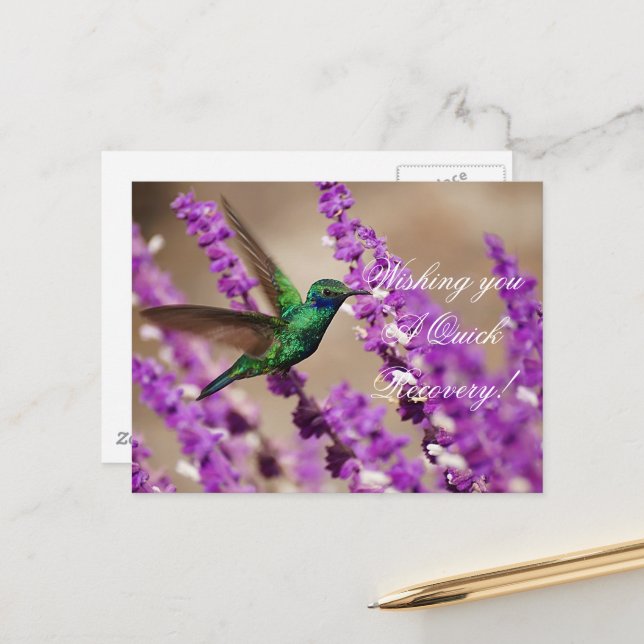 Wings of Faith Sparkling Violet-ears Hummingbird Postcard (Front/Back In Situ)