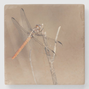 Wings of Gold Dragonfly Stone Coaster