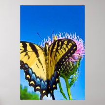 Wings of Love  Poster