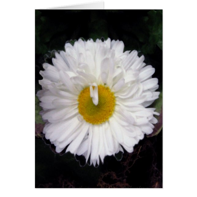 Wings of Summer (Front)