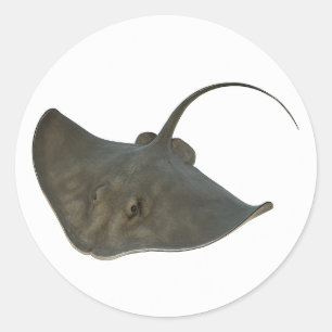 Wings of the Deep Classic Round Sticker