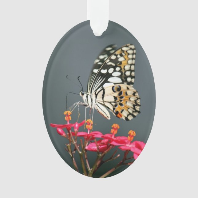 "Wings" Poetry Ornament (Front)