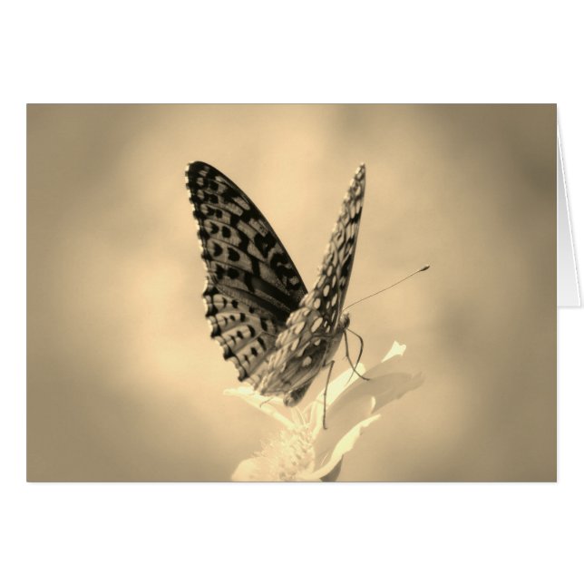 Wings Up - Fritillary Butterfly in sepia (Front Horizontal)