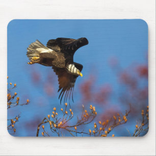 Wingshadow Mouse Pad