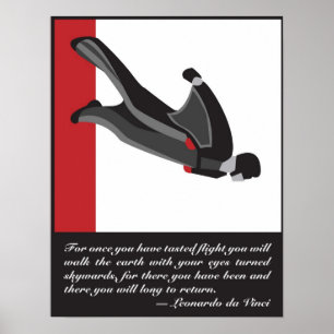 Wingsuit SkyDive Poster