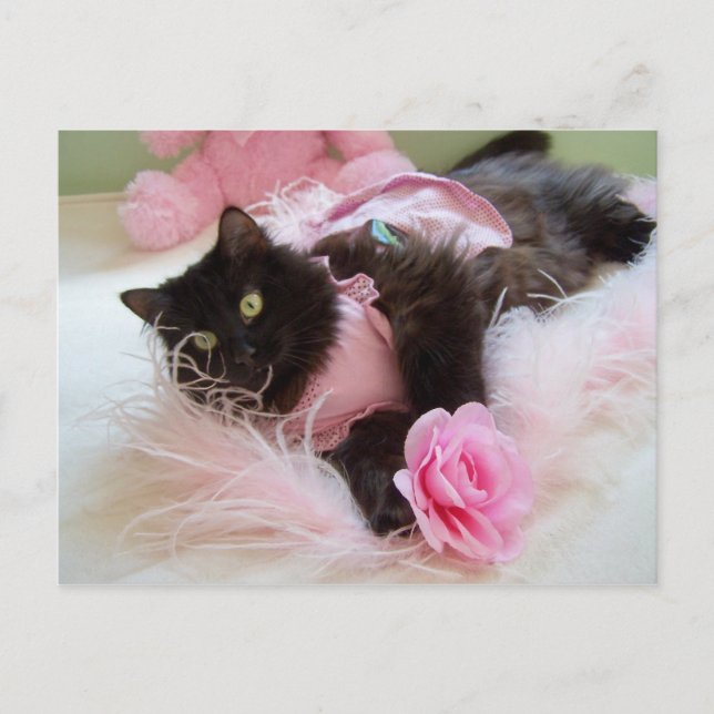 Wink for pink Postcard (Front)