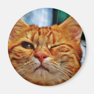 Wink kitty magnet