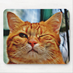 Wink kitty mouse pad