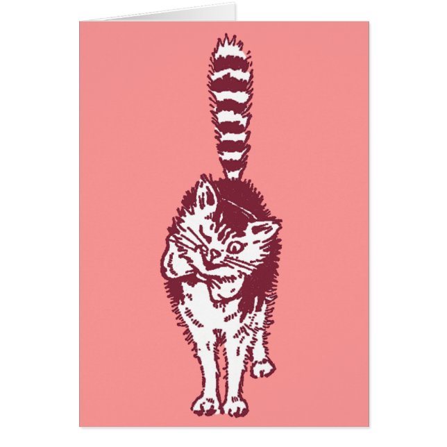 Winking Cat with Bushy Striped Tail (Front)