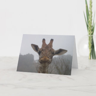 Winking Giraffe Card